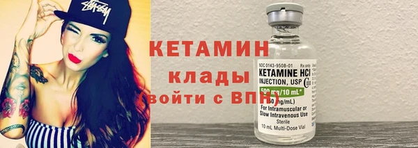 трава Гусиноозёрск
