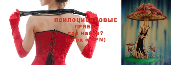 прущий лед Дмитров