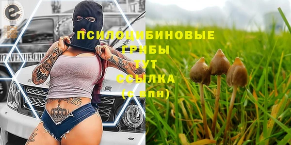 МДПВ Дмитровск