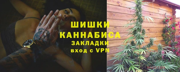 молекула духа Дмитриев