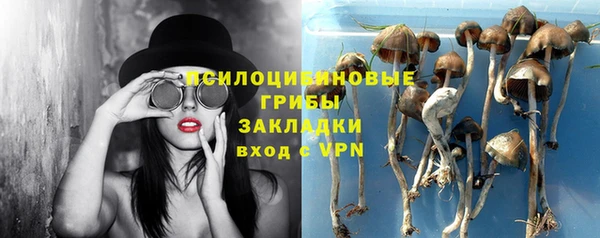 прущий лед Дмитров