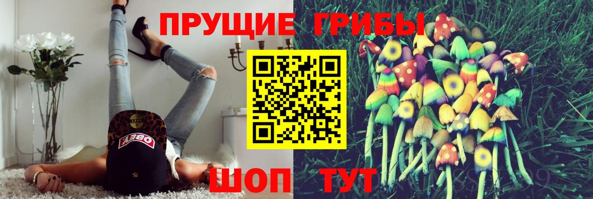 Псилоцибиновые грибы мицелий Хабаровск