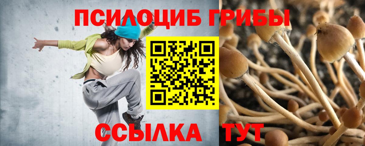 Хабаровск  Галлюциногенные грибы прущие грибы  Вход с VPN  Галлюциногенные грибы Psilocybine cubensis 